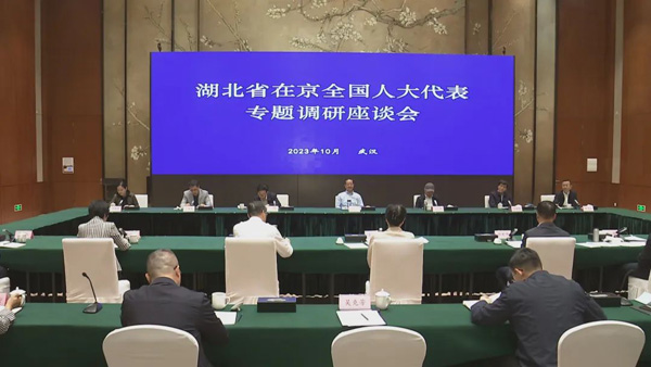 部分全國人大代表到鄂調(diào)研