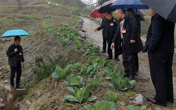  民生跟著民聲走
