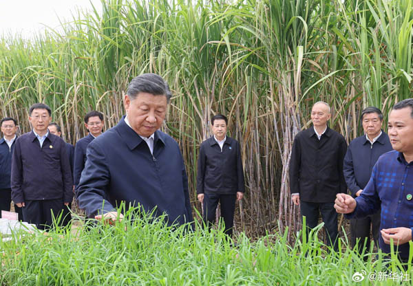  習(xí)近平在廣西來(lái)賓市考察調(diào)研