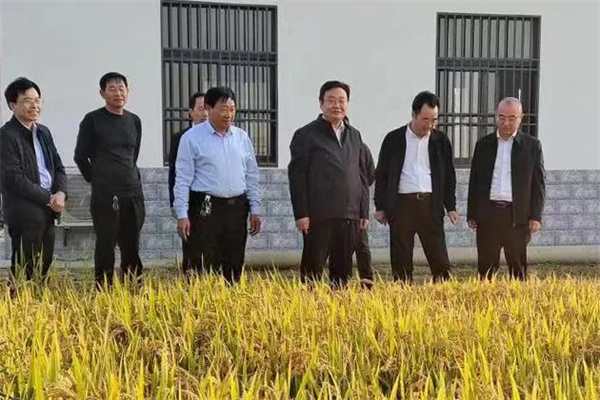 鹽城人大：以良法善治護(hù)航鄉(xiāng)村振興